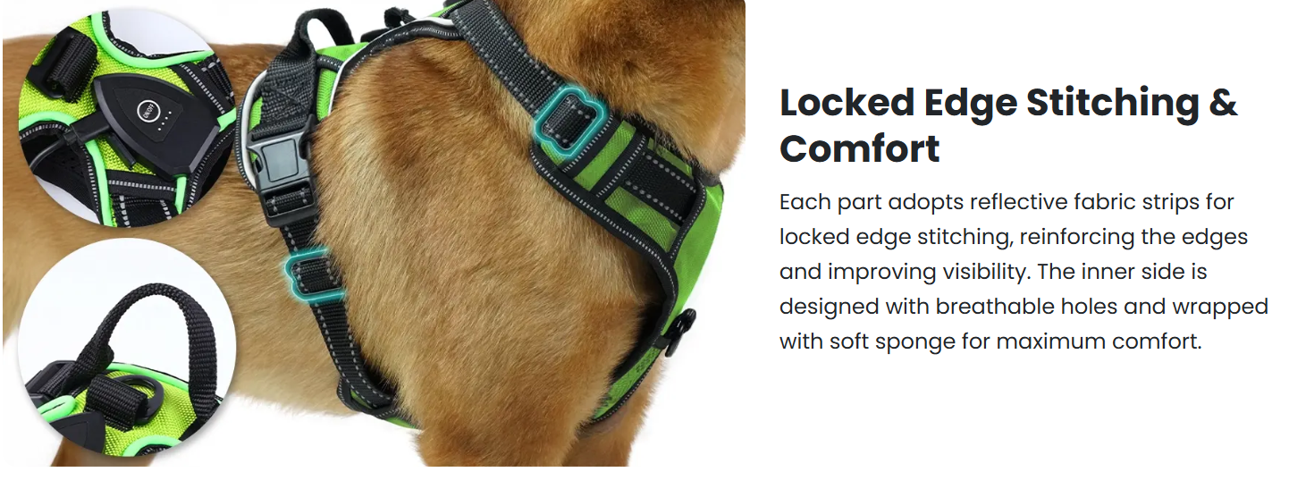 RadPaws LED Harness