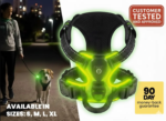 RadPaws LED Harness