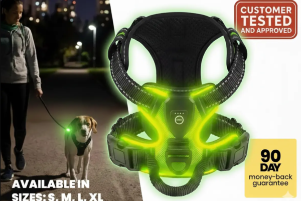 RadPaws LED Harness